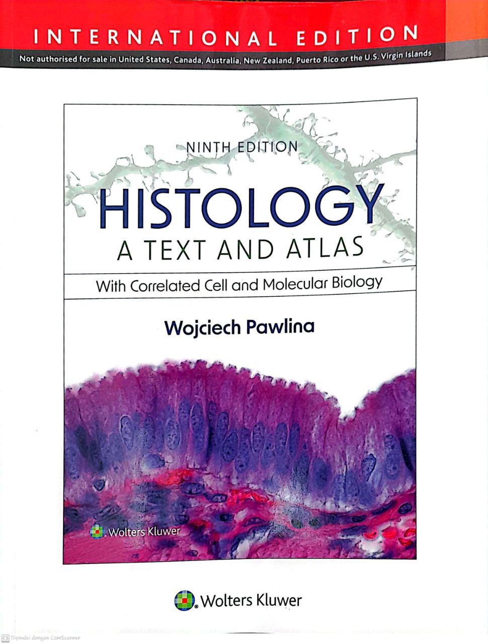 Histology : a text And Atlas With Correlated Cell And Molecular Biology