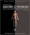 Principles Of Anatomy & Physiology 13Ed (Sc) Vol.1