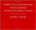 a brief atlas of the skeleton, surface anatomy, and selected medical images