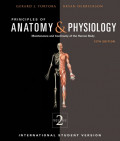 Principles Of Anatomy & Physiology 13Ed (Sc) Vol.2