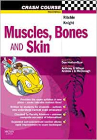 Muscles, Bones And Skin