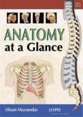 Anatomy At A Glance