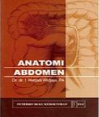 Anatomi Abdomen