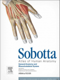 Sobotta, Atlas Of Human Anatomy 15E 3Vol