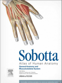 Sobotta, Atlas Of Human Anatomy 15E 3Vol