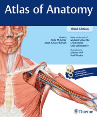 Thieme Atlas Of Anatomy 2 Ed.