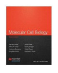 Molecular Cell Biology 7 Ed.