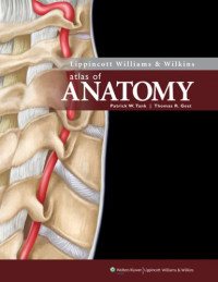 Image of Atlas Of Anatomy