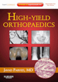 Image of High-Yield Orthopaedics