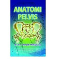 Image of Anatomi Pelvis