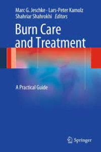 Image of Burn Care And Treatment : A Practical Guide