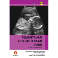 Image of Pemantauan Kesejahteraan Janin