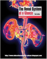 Image of The Renal System At A Glance 3E